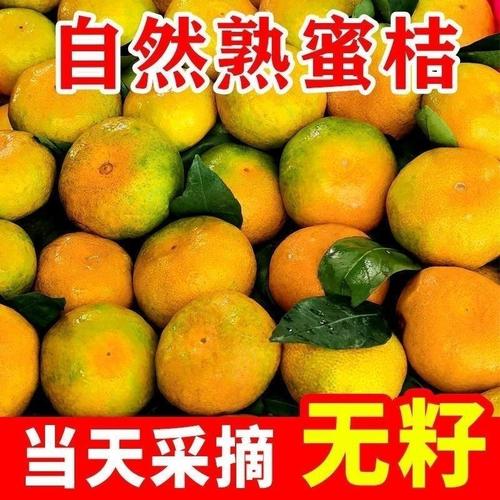 紅橘子水果